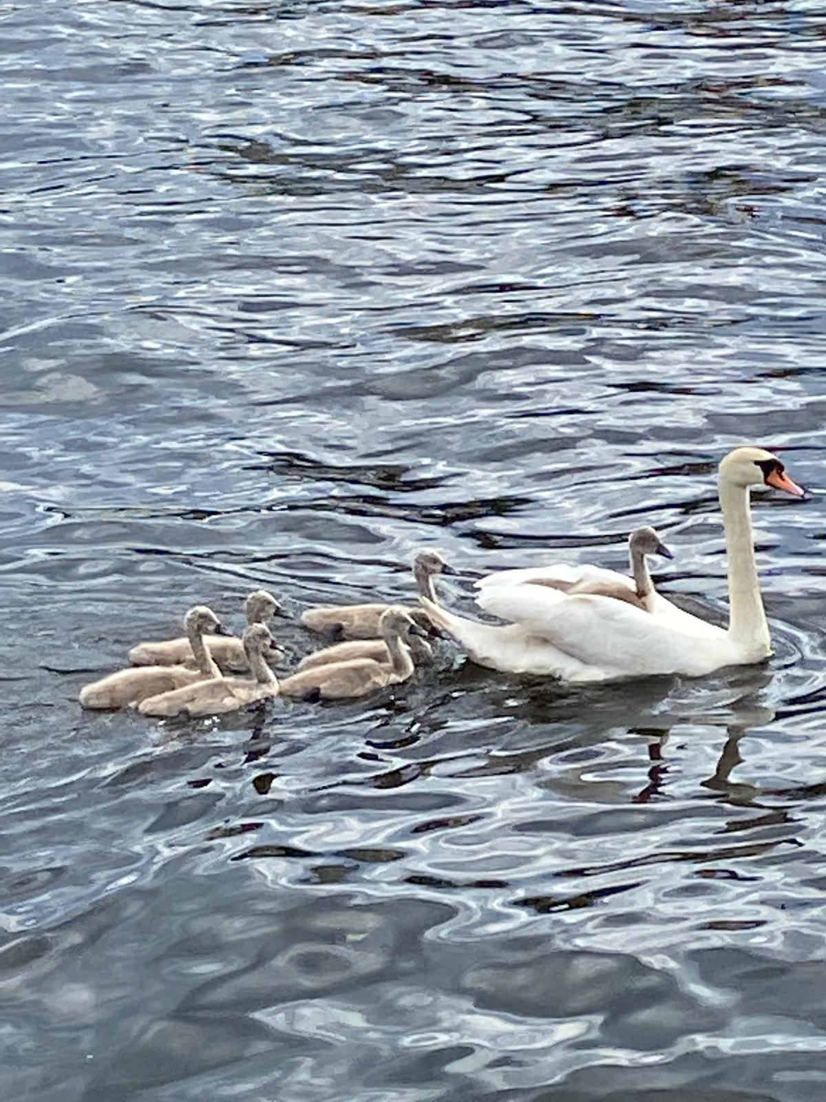 Unvergessliche Momente